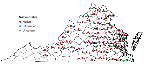 Locations ofNuphar advena (Ait.) Ait.f. in Virginia