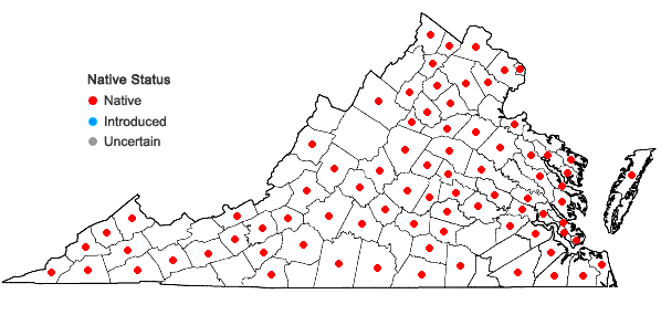 Locations ofObolaria virginica L. in Virginia