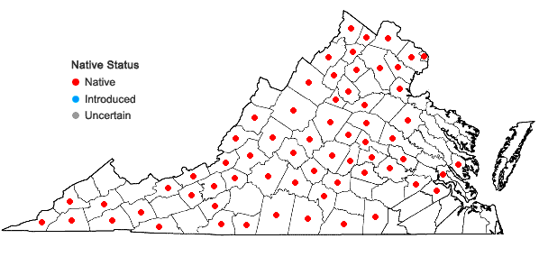 Locations ofOrobanche uniflora L. in Virginia