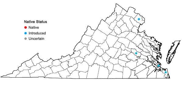 Locations ofOshuna crassipes (Martius) A. Haines in Virginia