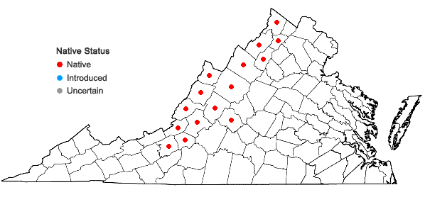 Locations ofPackera antennariifolia (Britton) W.A. Weber & A. Love in Virginia