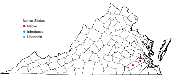 Locations ofPackera crawfordii (Britton) A.M. Mahoney & R.R. Kowal in Virginia