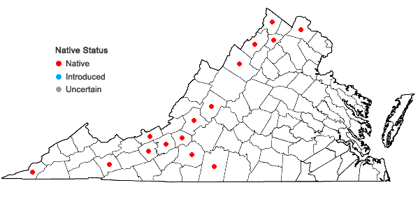 Locations ofPackera paupercula (Michaux) Á. & D. Löve var. appalachiana A.M. Mahoney;  in Virginia