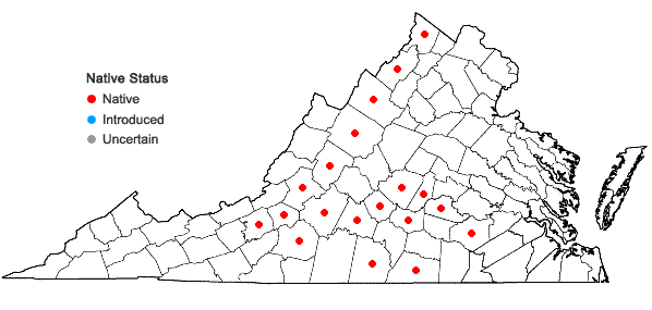 Locations ofParthenium auriculatum Britt. in Virginia