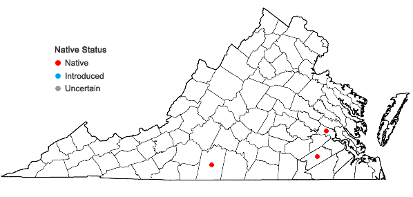 Locations ofParthenium integrifolium L. var. mabryanum Mears in Virginia
