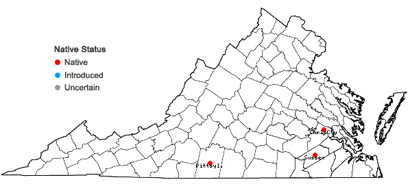 Locations ofParthenium integrifolium L. var. mabryanum Mears in Virginia