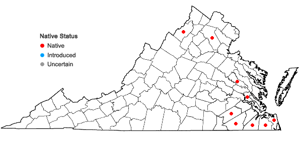 Locations ofPaspalum boscianum Fluegge in Virginia