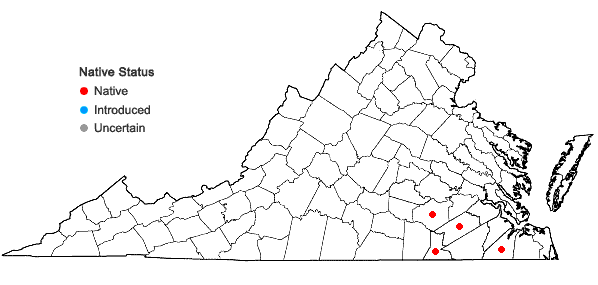 Locations ofPaspalum praecox Walter var. curtisianum (Steud.) Vasey in Virginia