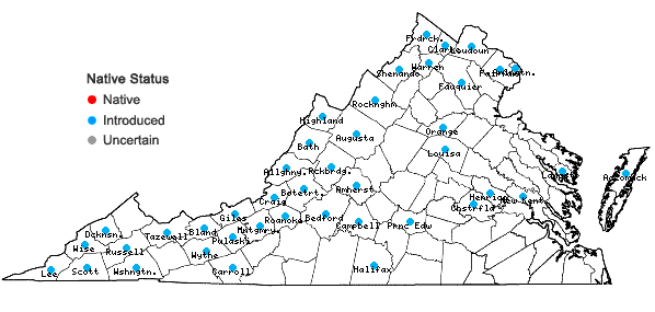 Locations ofPastinaca sativa L. in Virginia