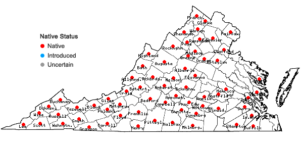 Locations ofPedicularis canadensis L. in Virginia
