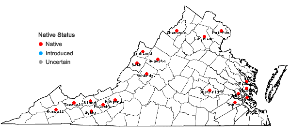 Locations ofPedicularis lanceolata Michx. in Virginia