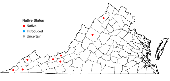 Locations ofPenstemon brevisepalus Pennell in Virginia