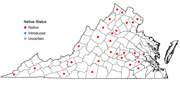 Locations ofPenstemon pallidus Small in Virginia