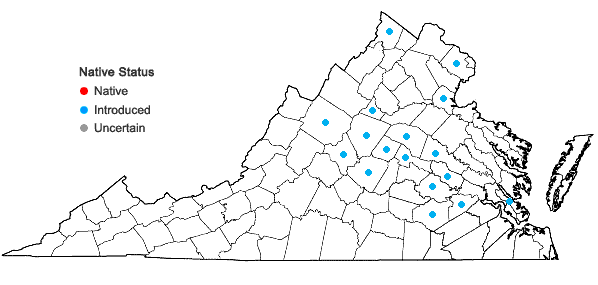 Locations ofPersicaria extremiorientalis (Vorosch.) Tzvelev. in Virginia