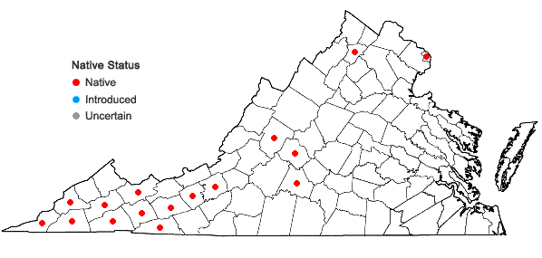 Locations ofPhacelia purshii Buckl. in Virginia