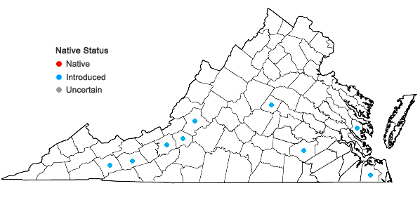 Locations ofPhalaris canariensis L. in Virginia