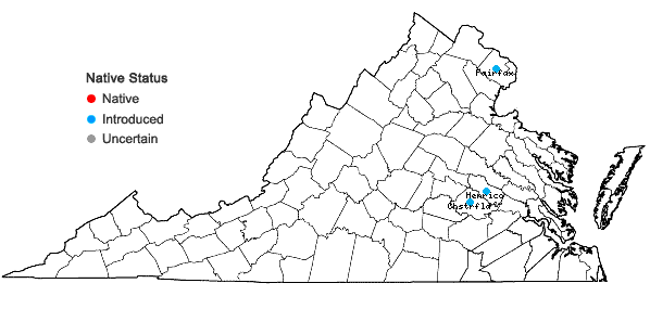 Locations ofPhotinia serratifolia (Desf.) Kalkm. in Virginia