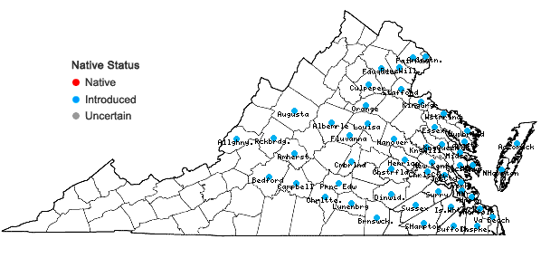 Locations ofPhragmites australis (Cav.) Trin. ex Steud. in Virginia