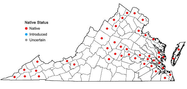 Locations ofPhyla lanceolata (Michx.) Greene in Virginia