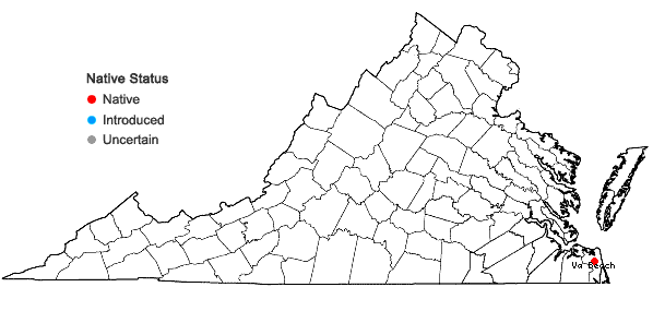Locations ofPhyla nodiflora (L.) Greene in Virginia