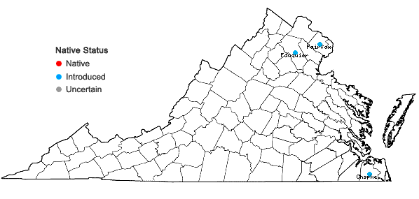 Locations ofPhyllostachys nigra (Lodd. ex Lindl.) Munro in Virginia