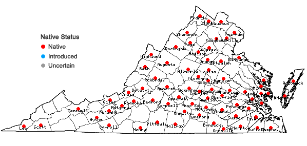 Locations ofPhysalis heterophylla Nees in Virginia