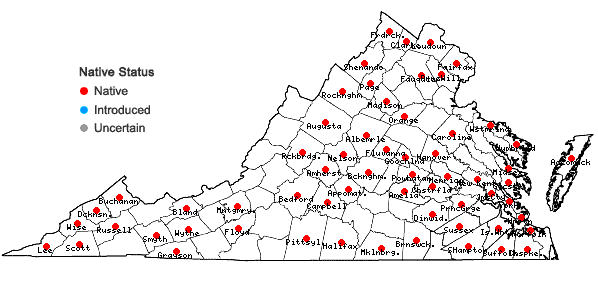 Locations ofPhysalis virginiana P. Miller in Virginia