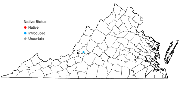 Locations ofPhysaria gordonii (A. Gray) O'Kane & Al-Shehbaz in Virginia