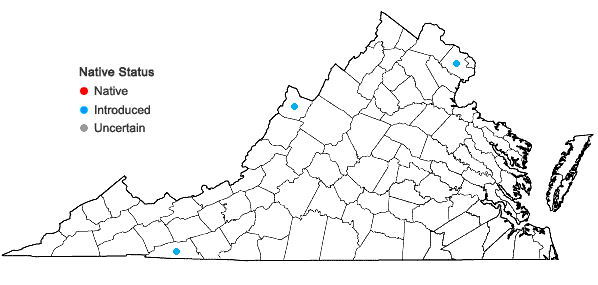 Locations ofPilosella aurantiaca (L.) F. Schultz & Schultz Bip. in Virginia