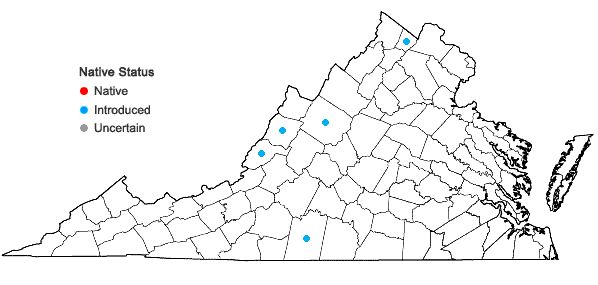Locations ofPilosella floribunda (Wimmer & Grabowski) Arvet-Touvet in Virginia