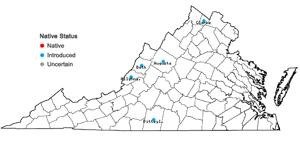 Locations ofPilosella floribunda (Wimmer & Grabowski) Arvet-Touvet in Virginia