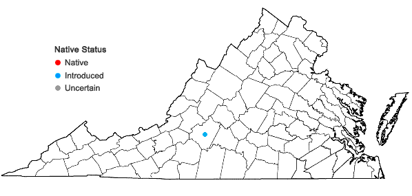 Locations ofPinellia ternata (Thunb.) Makino ex Breitenbach in Virginia