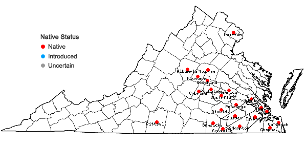 Locations ofPlanodes virginicum (L.) E.L. Greene in Virginia