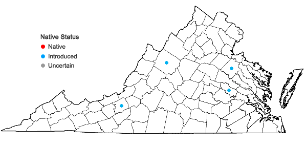 Locations ofPlantago indica L. in Virginia