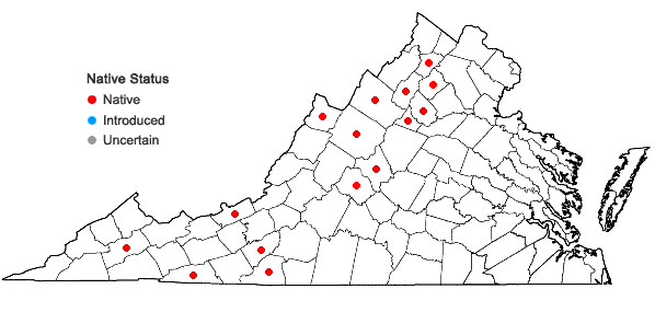 Locations ofPlatanthera grandiflora (Bigelow) Lindl. in Virginia