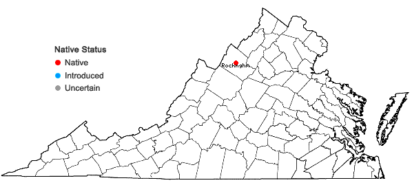 Locations ofPlatanthera hookeri (Torrey ex Gray) Lindley in Virginia