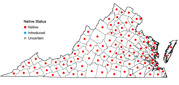 Locations ofPlatanus occidentalis L. in Virginia