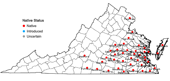 Locations ofPluchea camphorata (L.) DC. in Virginia