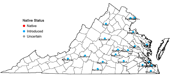 Locations ofPoa bulbosa L. ssp. vivipara (Koel.) Arcang. in Virginia