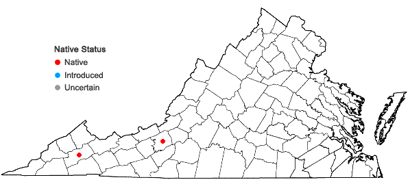 Locations ofPoa languida Hitchc. in Virginia