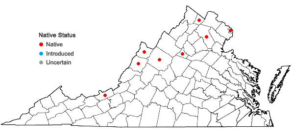 Locations ofPoa palustris L. in Virginia