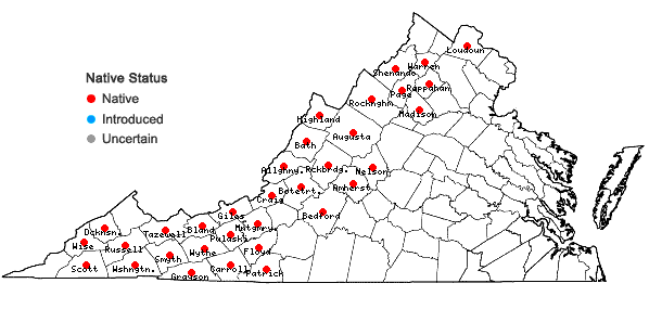 Locations ofPolygonatum pubescens (Willd.) Pursh in Virginia