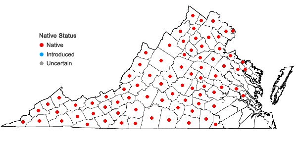 Locations ofPolypodium virginianum L. in Virginia