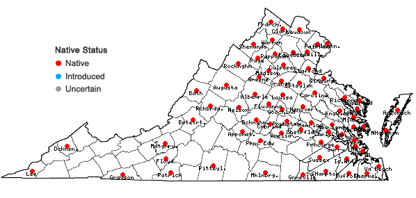 Locations ofPopulus deltoides Bartram ex Marshall ssp. deltoides in Virginia