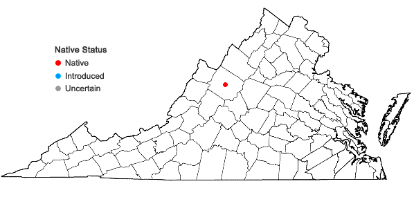 Locations ofPotamogeton bicupulatus Fernald in Virginia