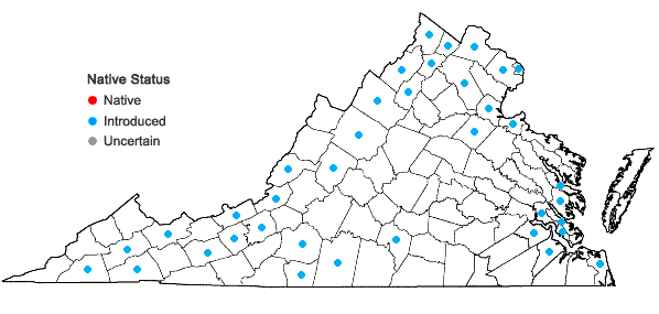 Locations ofPotamogeton crispus L. in Virginia