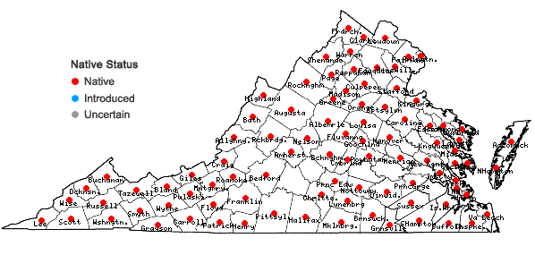 Locations ofPotentilla simplex Michx. in Virginia