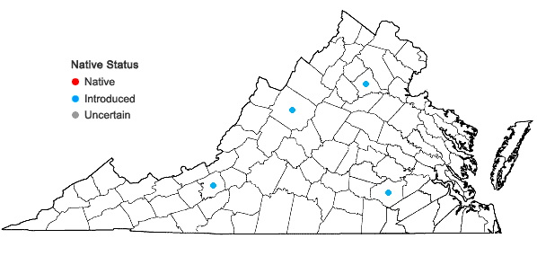 Locations ofPoterium sanguisorba L. var. polygamum (Waldstein & Kitaibel) Visiani in Virginia