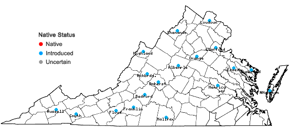Locations ofPrunus cerasus L. in Virginia