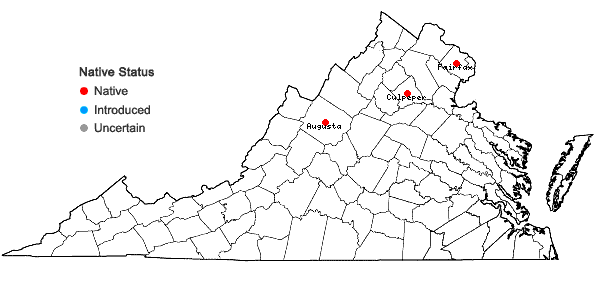 Locations ofPrunus susquehanae Hort. ex Willd. in Virginia